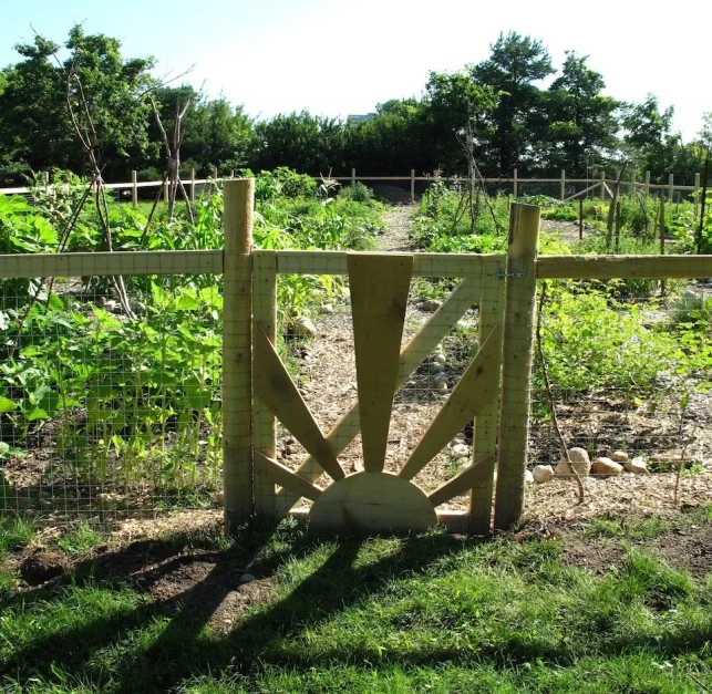 Diy Projects: How To Start A Community Garden DIY projects: How to start a community garden