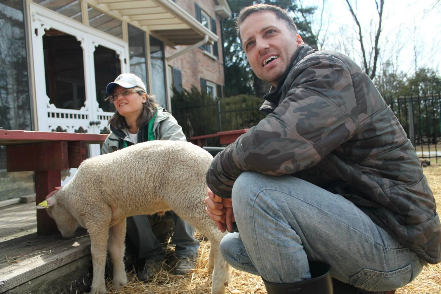Slaughterhouse Donates Lamb To Ontario Animal Sanctuary Slaughterhouse donates lamb to Ontario animal sanctuary