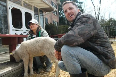 Slaughterhouse Donates Lamb To Ontario Animal Sanctuary Slaughterhouse donates lamb to Ontario animal sanctuary