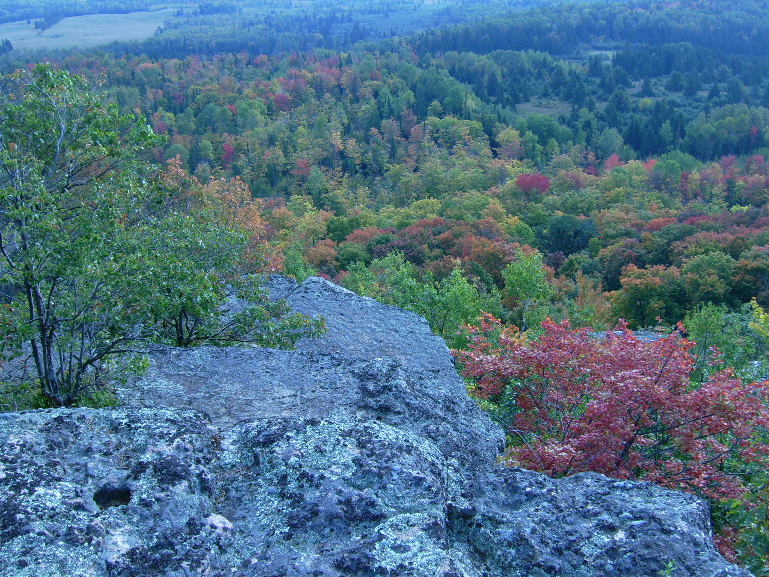 Canadian Cottage Culture 2026 — Fall Cabin Season Brings Lower Prices, Quieter Lakes And Real Etiquette Lessons 2 Peak fall colour over the lakes of Ontario's Algoma region in late September
