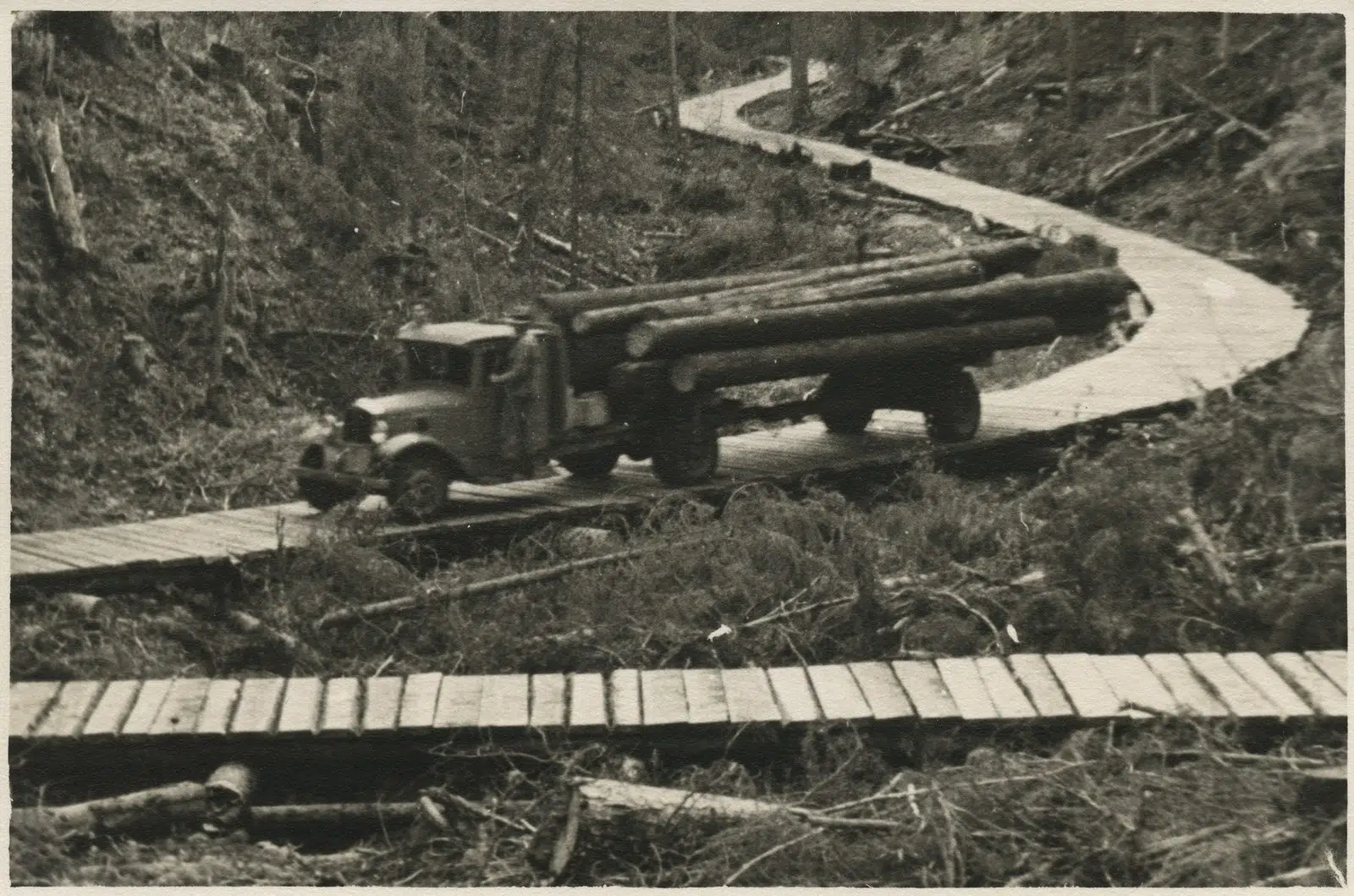 Bc Raw Log Export Ban 2026 — Municipalities Demand An End To Raw Log Exports 2 A British Columbia sawmill with stacked lumber, representing the domestic mills the BC Raw Log Export Ban aims to protect