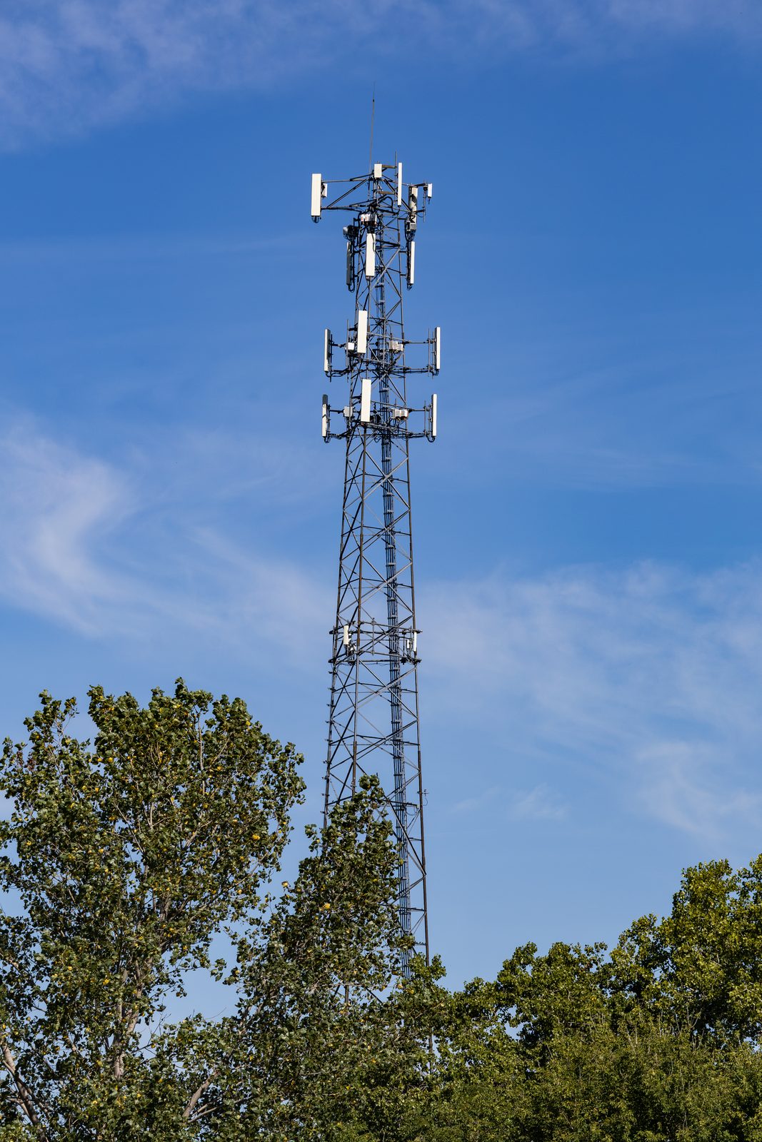 Bell 911 Outage 2026 — Six Provinces Hit As Emergency Calls Failed Thursday Morning 2 Bell 911 Outage — cell phone tower in Ontario