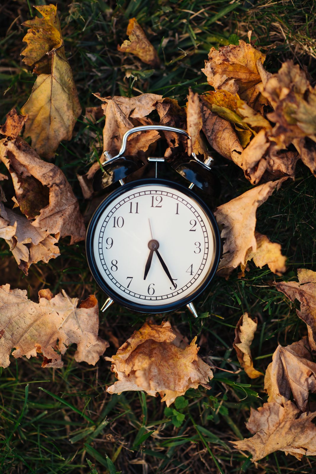 Manitoba Daylight Saving Time 2026 — No More Clock Changes Starting This Fall 1 Manitoba Daylight Saving Time — alarm clock among autumn leaves