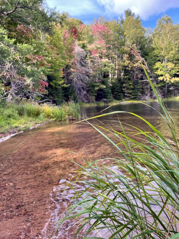 Canadian Thanksgiving 2026 — October 12 Date, Winnipeg Open-And-Closed Guide And Travel Tips 2 Early fall colour on the trees around a lake in late September