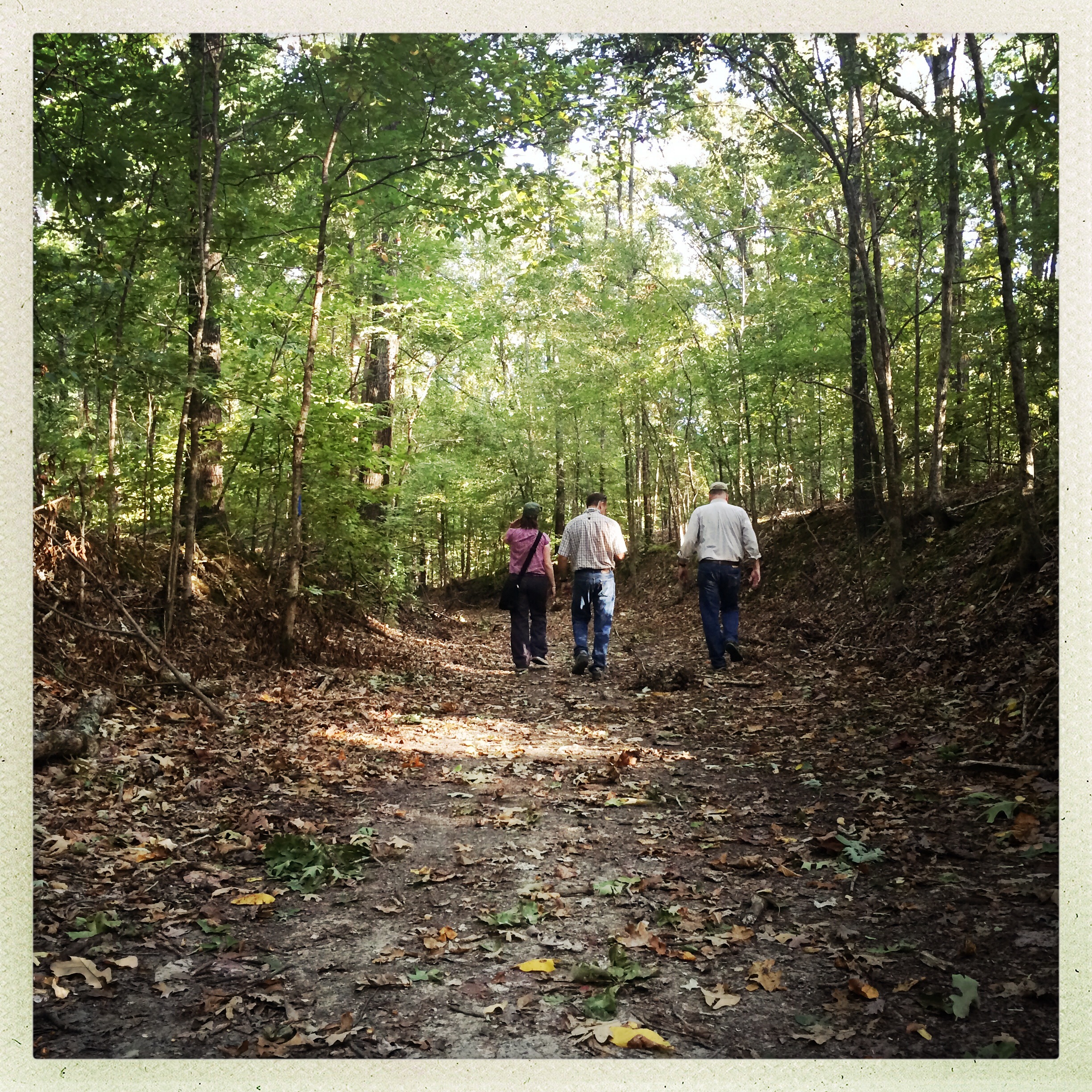 Walking For Health Canada 2026 — Ottawa'S $6-Million Bet That 1,000 Extra Steps A Day Can Save Lives 3 A walker on a trail covered with falling autumn leaves, building a walking habit before winter arrives