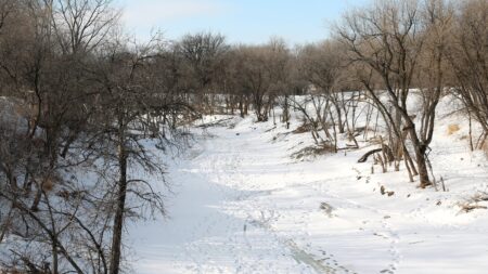 Gillingham Promises Rivière-Seine Historic Municipal Riverway — A Paddle-Friendly Plan For Winnipeg’S Mayoral Race The snow-covered Seine River winding through St. Boniface, Winnipeg, site of the proposed Rivière-Seine Historic Municipal Riverway