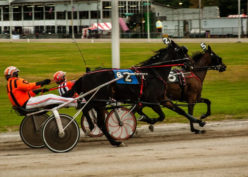 Mappos Lion P.e.i. Free For All 2026 — Late Charge Wins Saturday Feature At Red Shores Harness racers charging down the stretch, the way Mappos Lion did to win the Mappos Lion P.E.I. Free For All feature at Charlottetown