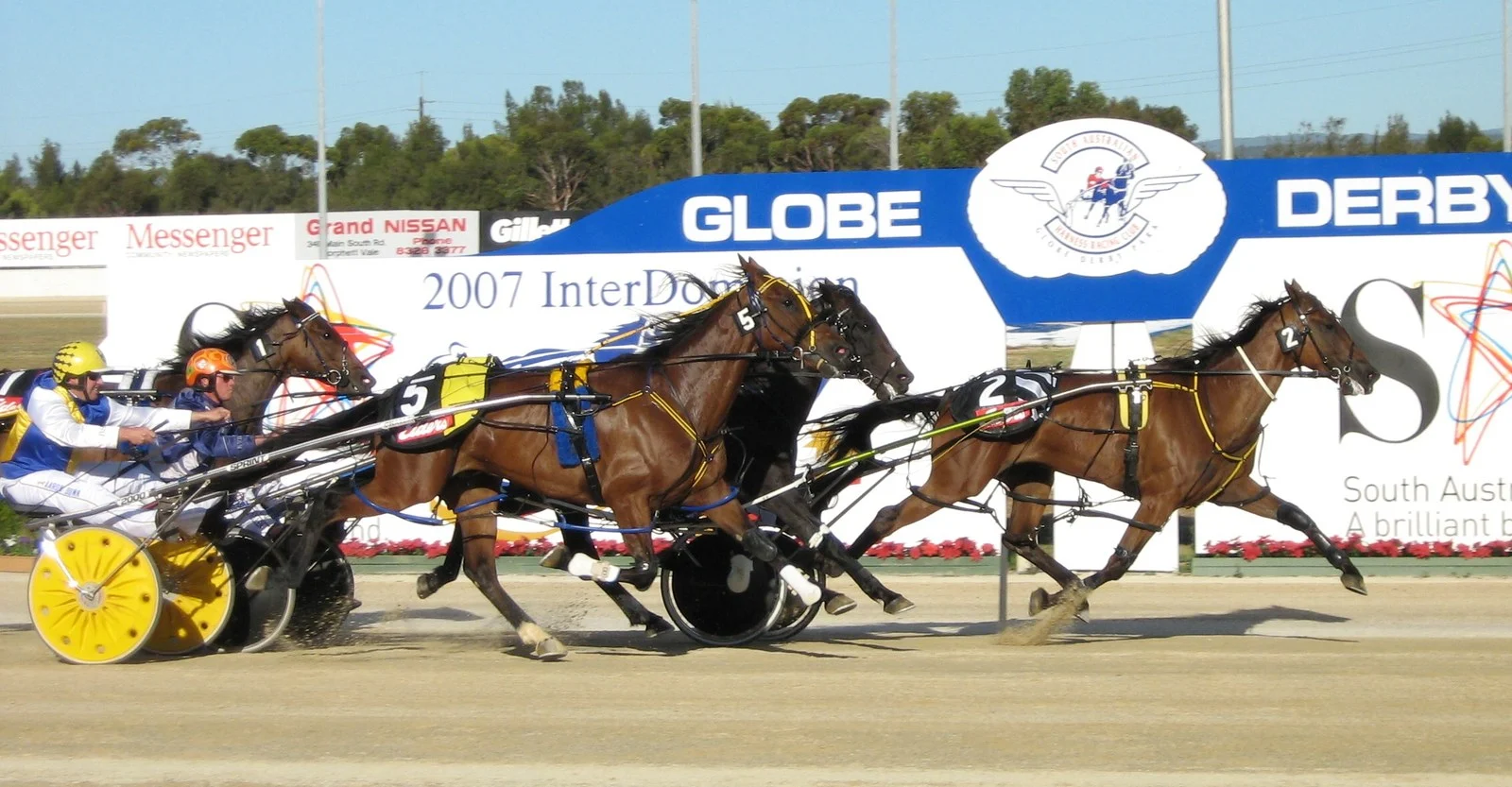 Mappos Lion P.e.i. Free For All 2026 — Late Charge Wins Saturday Feature At Red Shores 1 Pacers hitting the finish line, echoing the Mappos Lion P.E.I. Free For All thriller taken by the 9-year-old veteran