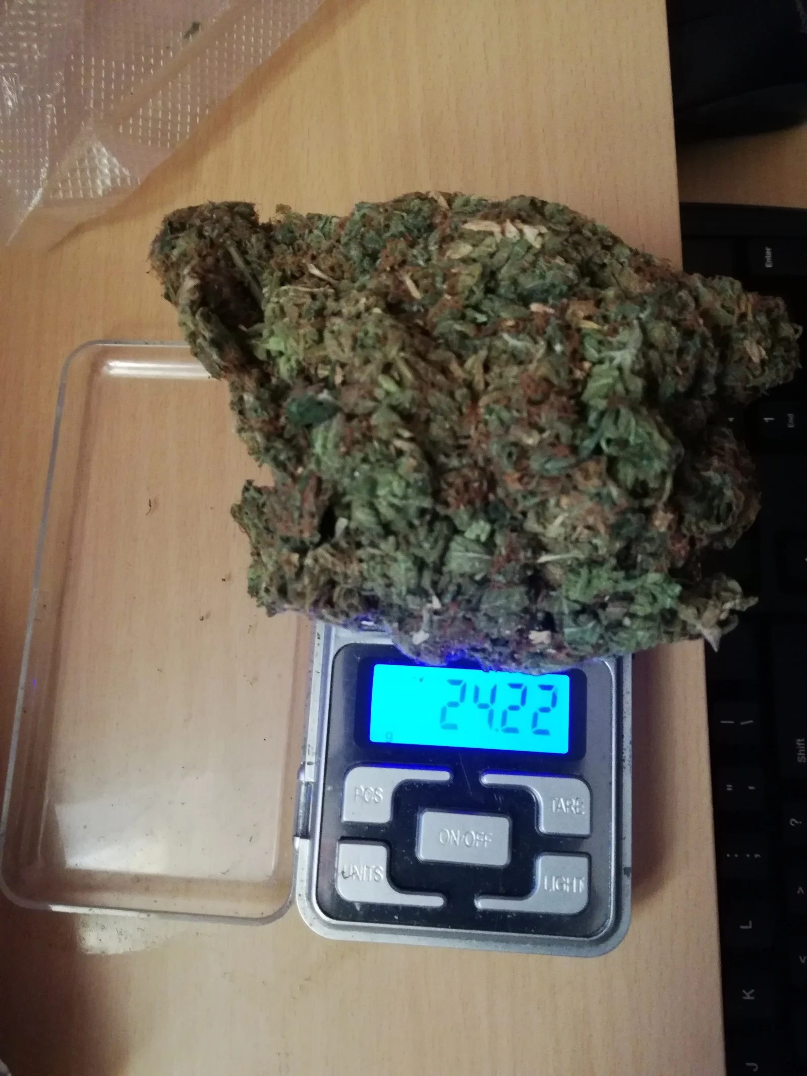Nlc Cannabis Sales Q1 2026 — Newfoundland'S Pot Shops Pull In $29.3M Despite Slipping Sales 1 Cannabis flower buds on a digital scale; whole flower led NLC Cannabis Sales Q1 2026 with 33 percent of sales