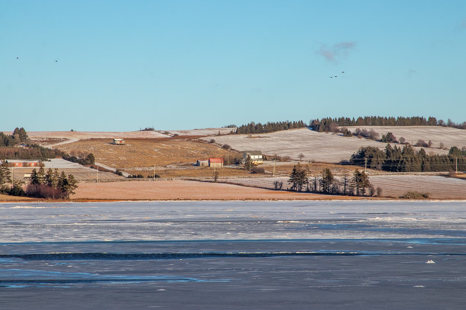 P.e.i.'S Irac Dismantled 2026 — Lantz Breaks Up 35-Year-Old Regulator After Independent Review 3 IRAC Dismantled: rolling Prince Edward Island farmland with signature red soil near Victoria, P.E.I., viewed across frozen water in winter
