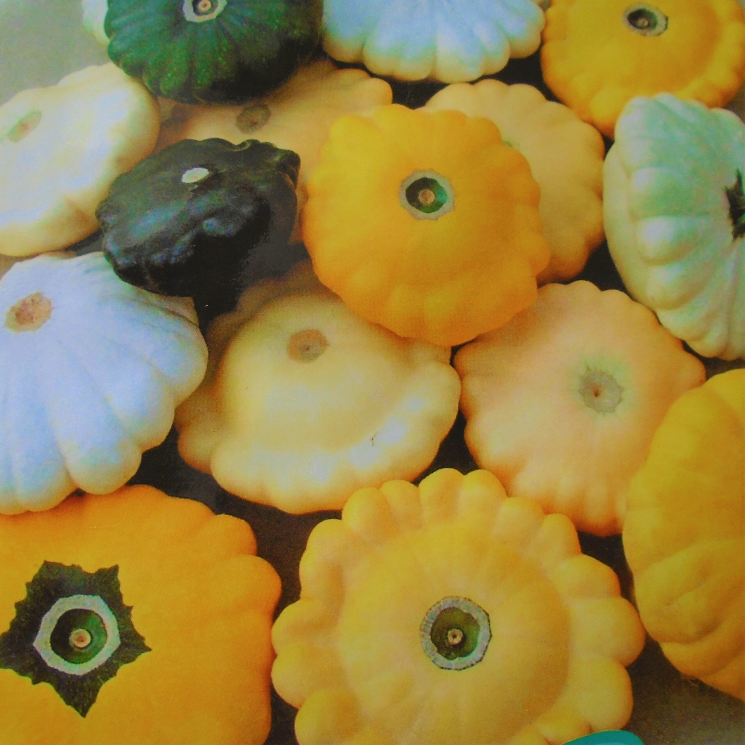 Winnipeg Farmers Markets 2026 — Your September Guide To St. Norbert, Peak Harvest And Pumpkin Season 3 A selection of pumpkins and squashes at peak September harvest