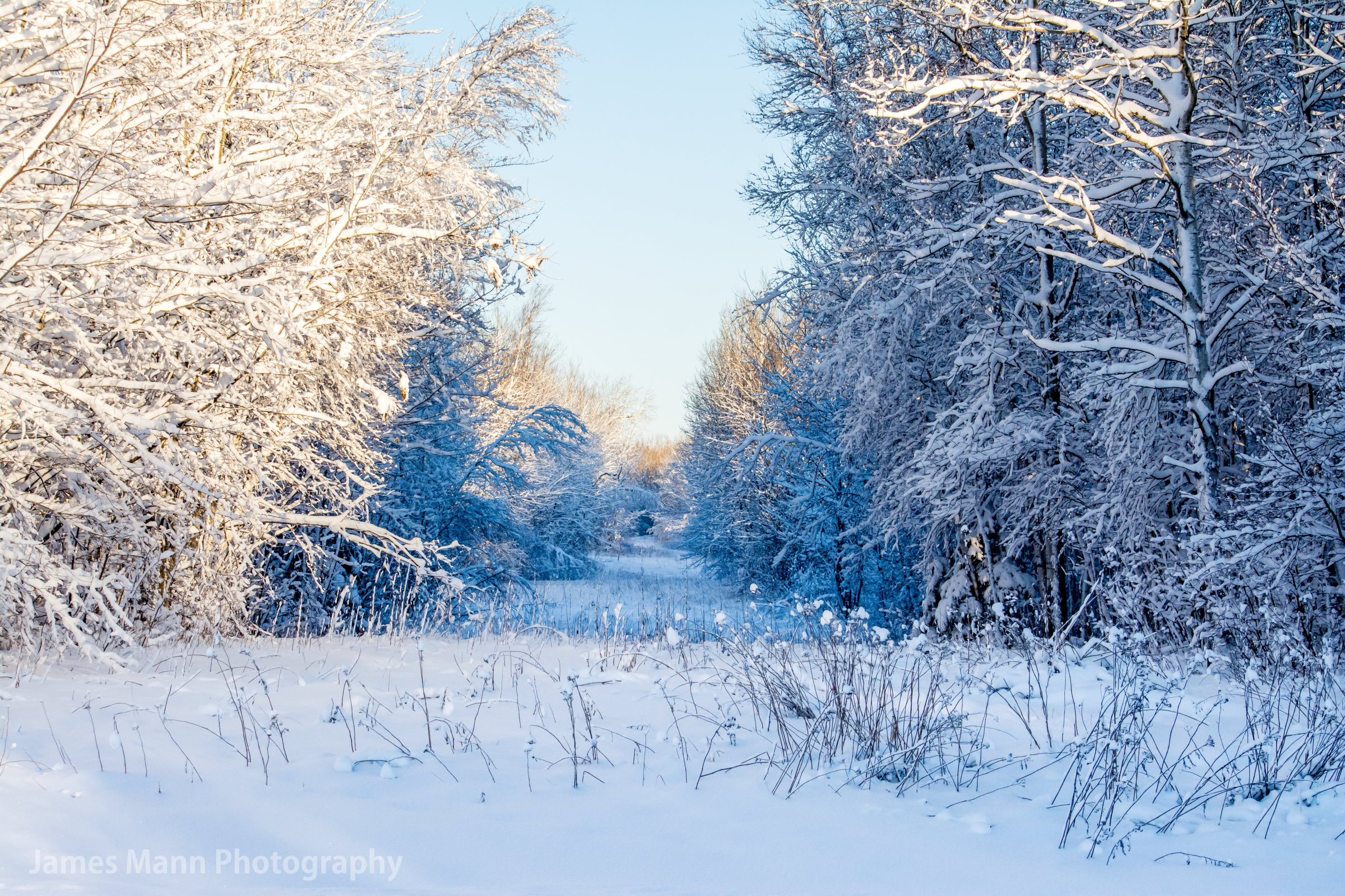 Seasonal Affective Disorder Canada 2026 — Why The Fall Equinox Is Your Cue To Prepare For The Dark Months Now 3 A person walking through fresh snow in winter, a simple way to get daylight exposure during short Prairie days