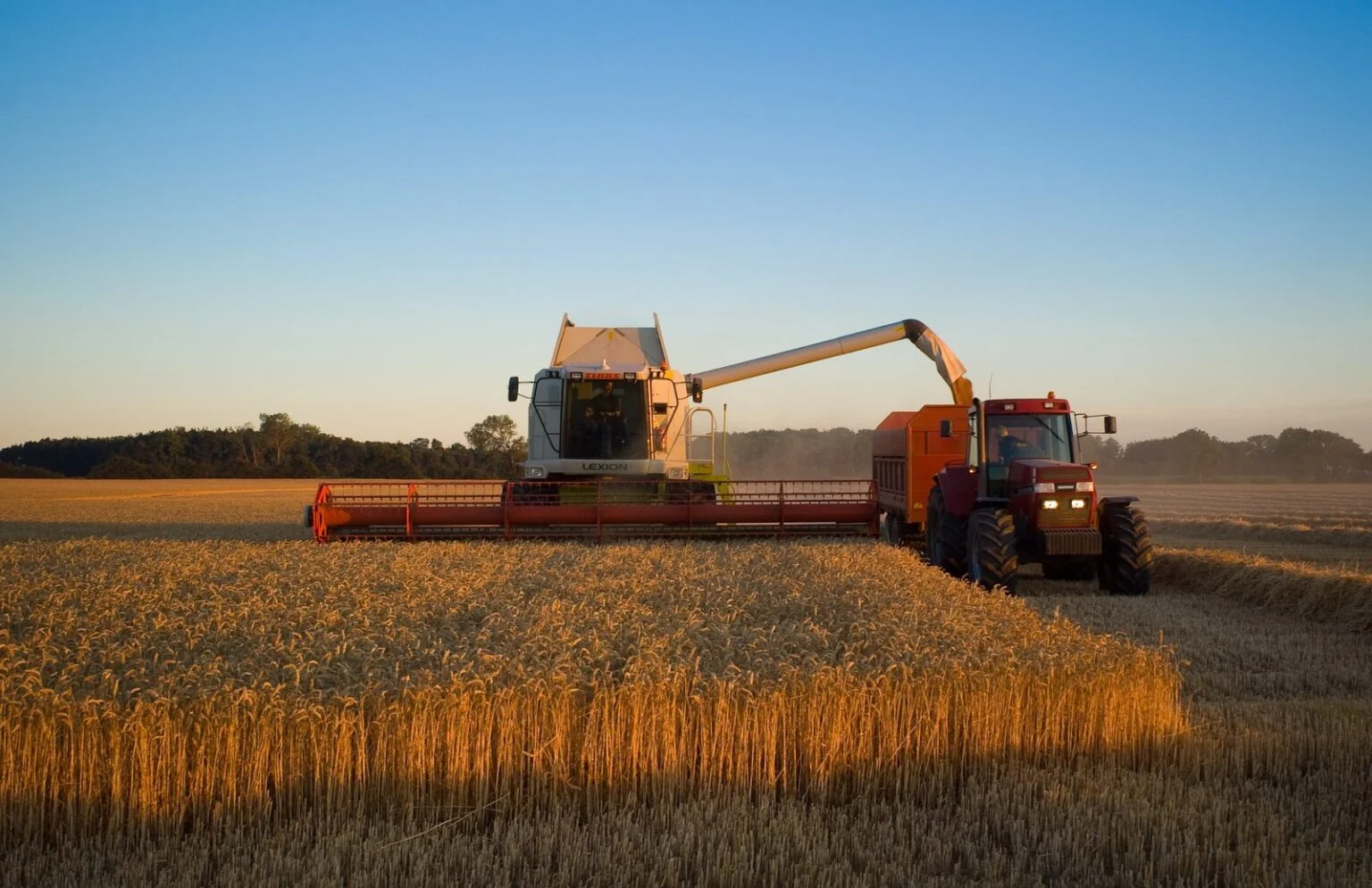 Agwest Creditor Protection 2026: Bmo Forces Manitoba Farm Equipment Giant Into Court After $34.3M Default CLAAS Lexion combine harvester unloading in a wheat field; the AgWest Creditor Protection case puts the Manitoba equipment dealer up for sale