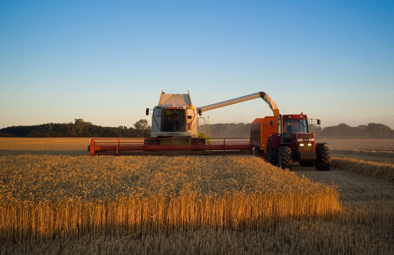 Agwest Creditor Protection 2026: Bmo Forces Manitoba Farm Equipment Giant Into Court After $34.3M Default 1 CLAAS Lexion combine harvester working a wheat field; the AgWest Creditor Protection case puts the Manitoba equipment dealer up for sale