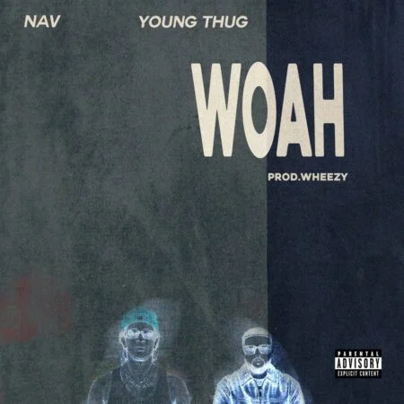 NAV - WOAH
