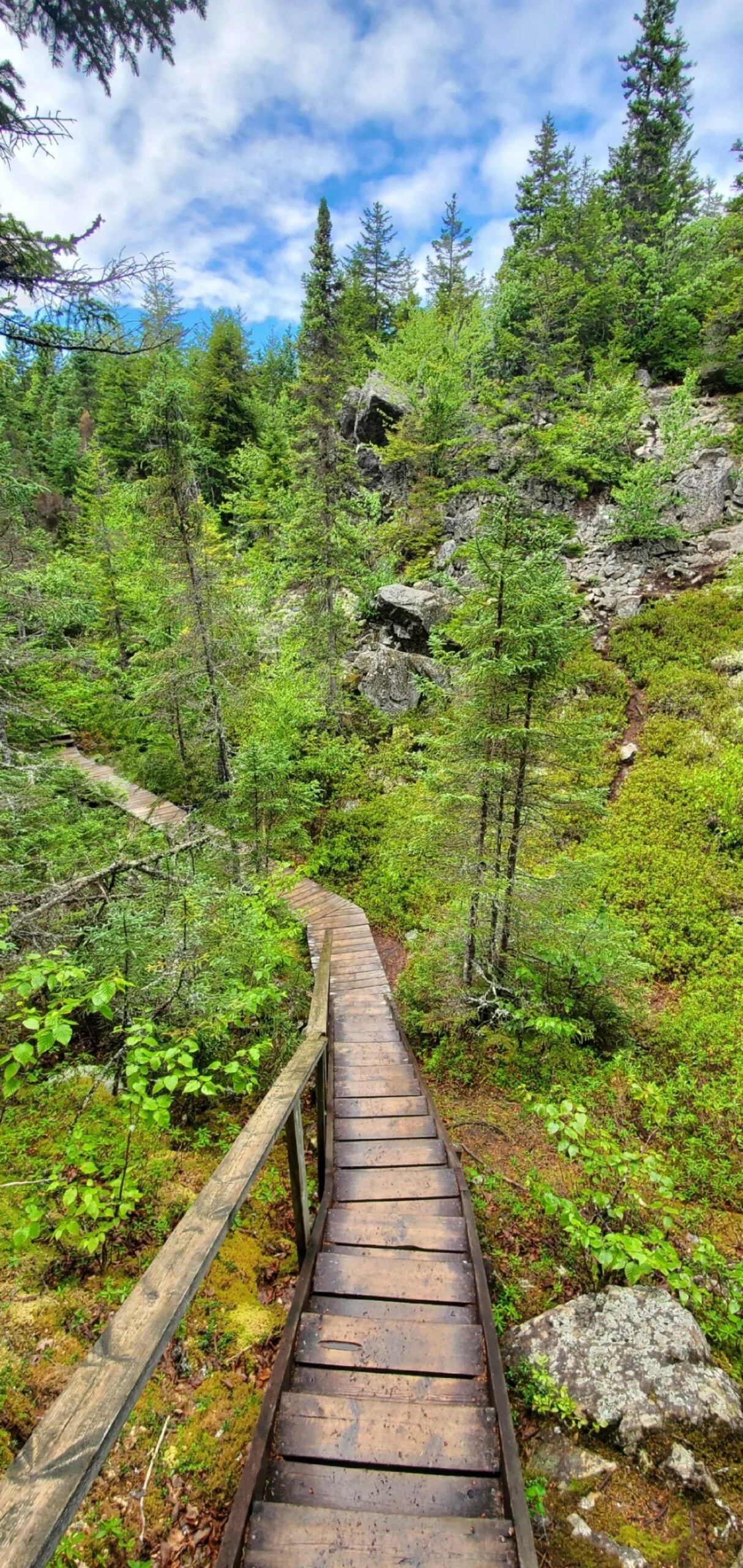 Cedar Stone Thermal Spa 2026 — A Wolastoqiyik-Owned Wellness Destination Rises In Rusagonis 3 A wooden trail through the forest in Fundy National Park, New Brunswick, the kind of wooded landscape surrounding the Cedar Stone thermal spa site in Rusagonis