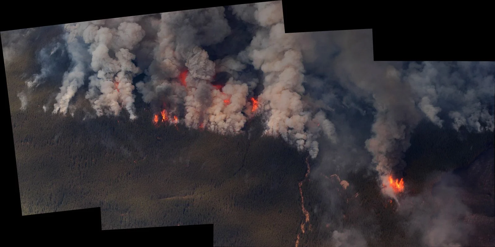 N.b. Digital Forestry Centre 2026 — Ottawa Pledges Up To $50M For A 'Digital Twin' Of New Brunswick'S Forests 2 Aerial view of a forest fire burning through Canadian forest — the kind of threat the digital twin is designed to predict