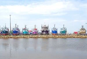 Ottawa Announces Major Construction At Pointe-Verte Harbour In Northern New Brunswick New Brunswick fishing fleet at Shippagan near Pointe-Verte harbour