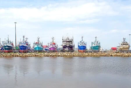 Ottawa Announces Major Construction At Pointe-Verte Harbour In Northern New Brunswick New Brunswick fishing fleet at Shippagan near Pointe-Verte harbour