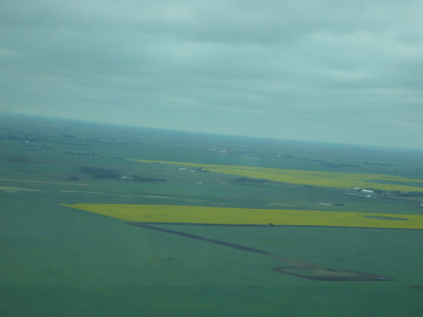 Saskatchewan Crown Land Leases 2026 — Annual Tender Scrapped For Ongoing Online Auctions 2 Saskatchewan Crown Land Leases: canola fields outside Estevan, Saskatchewan