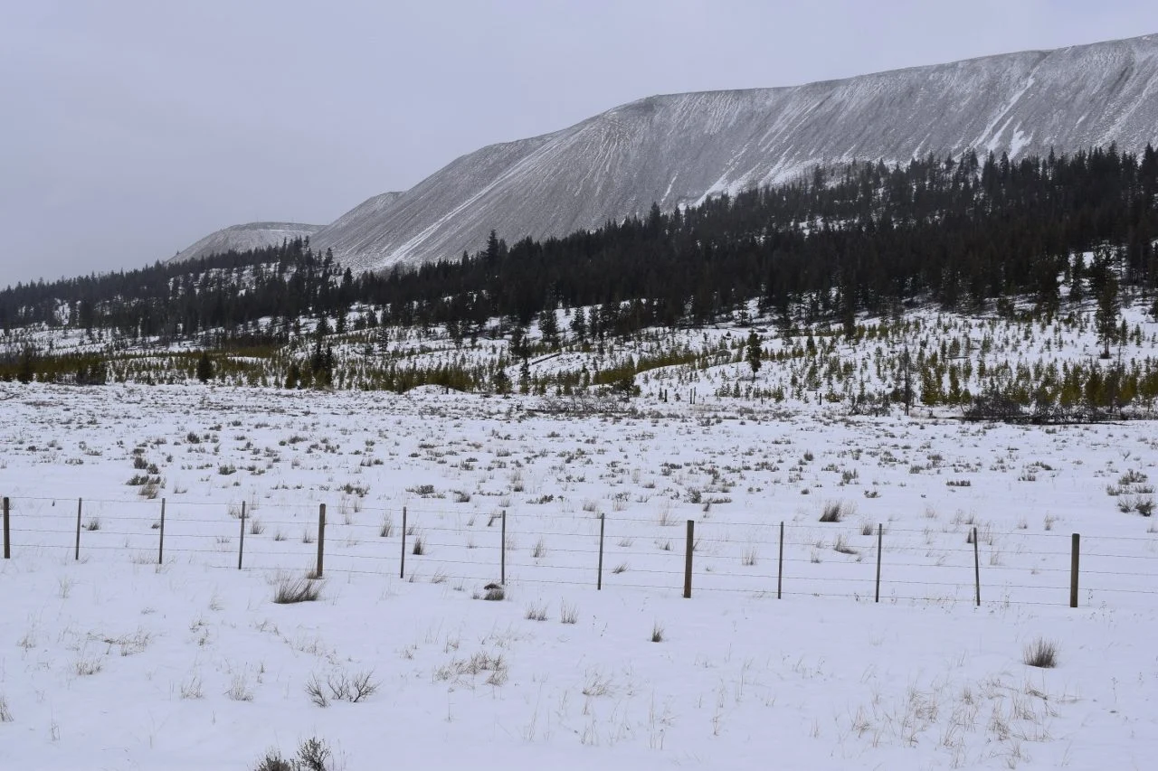 Teck Highland Valley Copper Strike 2026: Steelworkers Issue 72-Hour Notice At Canada'S Largest Copper Mine 2 Highland Valley Copper Mine tailings at the former Bethlehem Mine site near Logan Lake, British Columbia